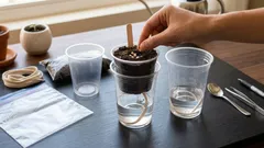 Wie Sie Paprikasetzlinge doppelt so schnell ziehen: Eine fortgeschrittene Methode, die nicht alle kennen