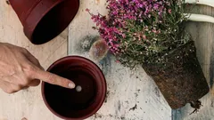 Warum ist dieses Loch am Boden des Blumentopfs so wichtig für die Gesundheit der Pflanzen?