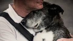 Erinnert sich ein Hund nach vielen Jahren der Trennung noch an sein Herrchen?