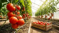 Wissenschaftler haben entdeckt, dass gestresste Pflanzen schreien – und Insekten das hören