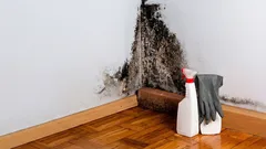 Warum sammeln sich hinter Möbeln Feuchtigkeit und Schimmel an? Nur wenige denken über einen wichtigen Grund nach.