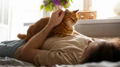 Ihr flauschiger kleiner Heiler: Warum Ihre Katze zu Ihnen kommt, wenn Sie sich nicht gut fühlen?