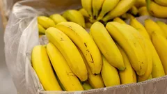 Anhand dieser Anzeichen lässt sich erkennen, welche Bananen man um jeden Preis meiden sollte – kaufen Sie solche niemals.