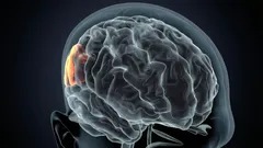 Eine detaillierte Analyse der Folgen, die häufiger Schlafmangel mit sich bringt.