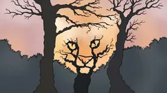 Was sehen Sie auf diesem Bild? Ein psychologischer Test, der zeigt, wie Sie die Welt wahrnehmen.