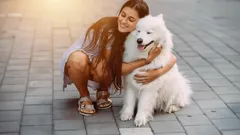 Die freundlichsten Hunderassen, die Menschen wirklich lieben – für Familien mit Kindern