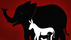 Eine interessante optische Täuschung: Wie viele Tiere kannst du in 10 Sekunden auf diesem Bild entdecken?