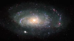 Wissenschaftler erklären, warum Menschen bis heute keine Anzeichen für ausserirdisches Leben entdeckt haben